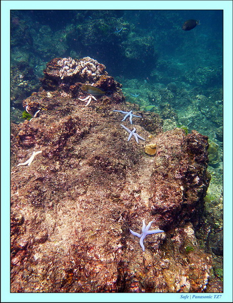 2012 - 03 - Koh Ha 14